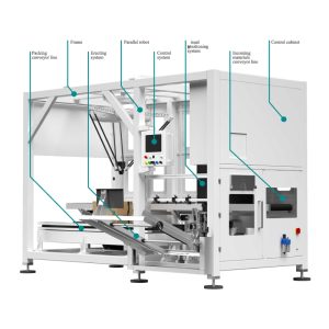 Erecting and Packing Integrated Machine